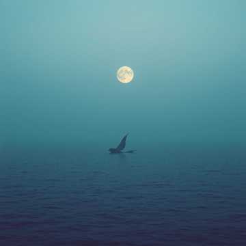 노래 표지 Egyedül