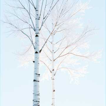 Cover of the song Есенин