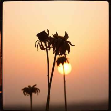 노래 표지 el fin de nuestro amor