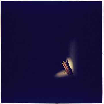 曲のカバー Трип 3