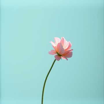 Cover of the song กำลังจะอกหัก