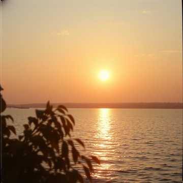 Couverture de la chanson Hommage