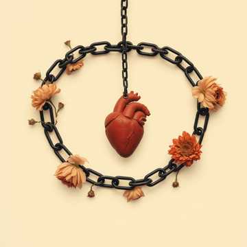 Capa da música Ven ven