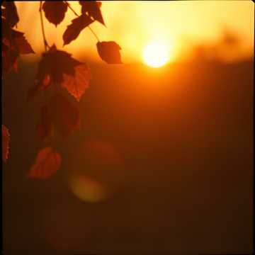 Cover utworu Осень