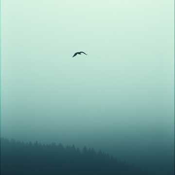 歌曲的封面держи