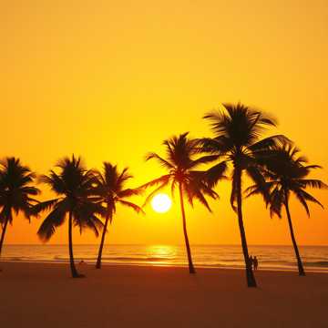 غلاف الاغنية Island Breeze