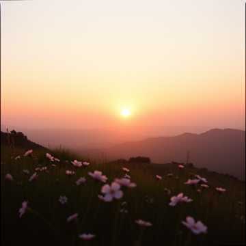 歌曲的封面तिम्रो हाँसोले उज्यालो बनाउँछ मेरो हरेक बिहानको सुरुवात… साना–साना खुशीहरूमा तिम