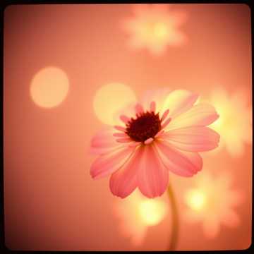 Cover of the song “Alsū” — Modern Pop Version