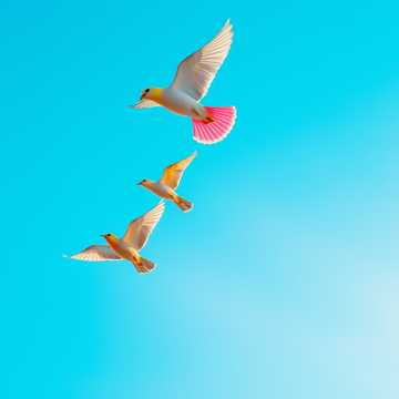 Кавер на песню My love