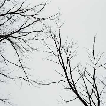 歌曲的封面MỌT CHÚT RẤT ĐÔNG ĐÃ VỀ (2)