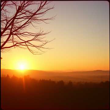 노래 표지 Tari Gaun