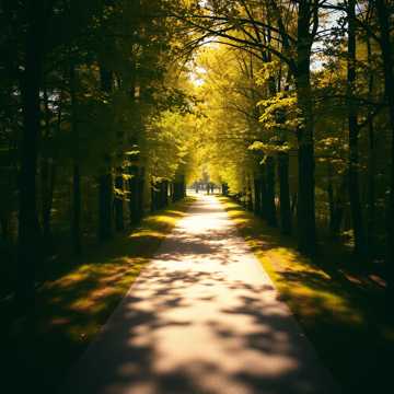Cover of the song Marche Pour La Santé