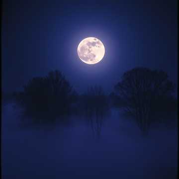 Кавер на песню Shadow Steps