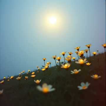 غلاف الاغنية Ночь чудес