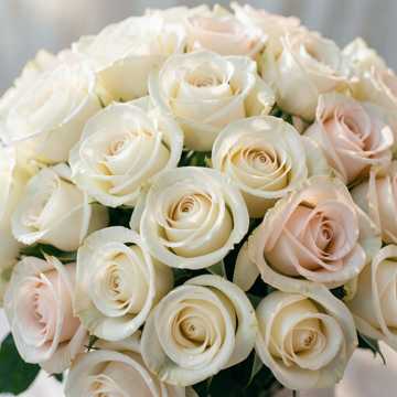 Cover av låten Удиви меня сегодня розами