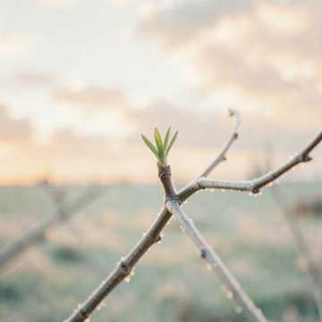 Couverture de la chanson Пісня весни в мені