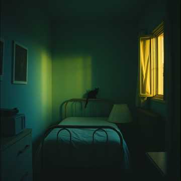 曲のカバー Kitti fingja