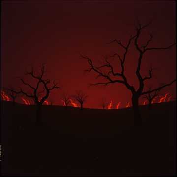 Cover of the song Brak