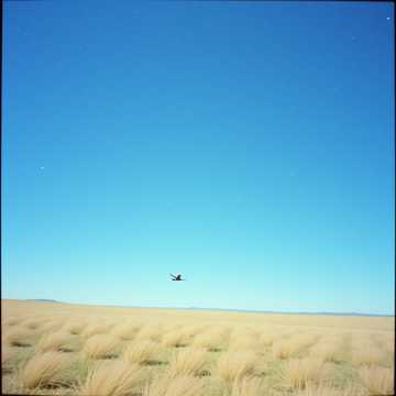 Cover of the song Nel luogo dei mai nati