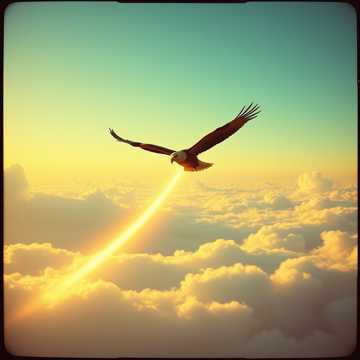 Cover of the song يا كوتش
