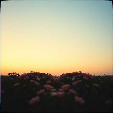 Bìa bài hát Chanson d'amour