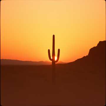 Cover of the song LA VERDAD