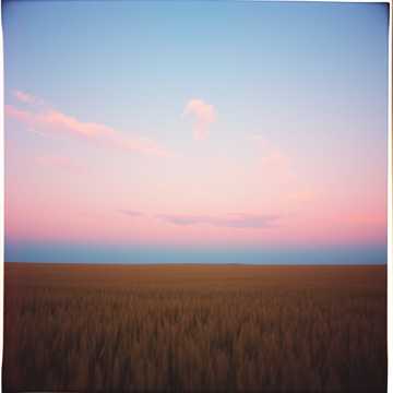 Cover of the song Я возврощаюсь