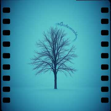 Capa da música Echoes in the Cold