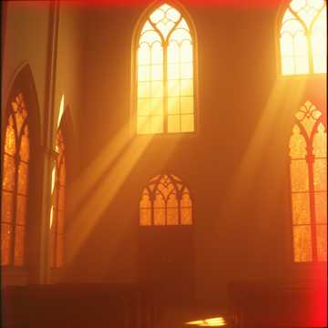 Cover of the song Sanctuary Lights