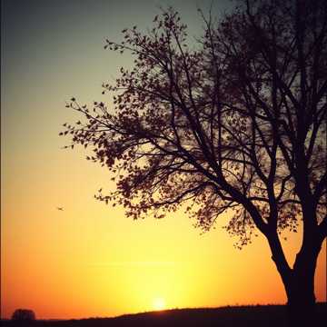 Cover utworu EL OTOÑO DE MI VIDA