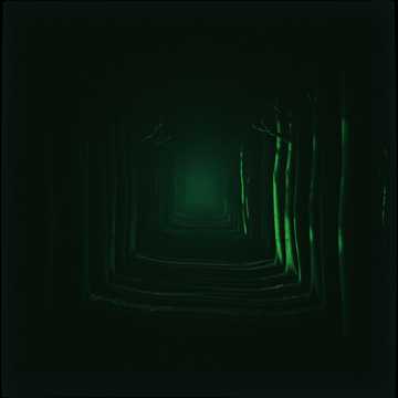 Cover av låten Лесная муза