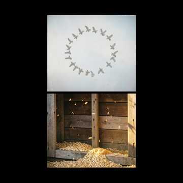 คัฟเวอร์เพลง Виктор и голуби
