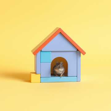 Cover van het nummer My Blocks