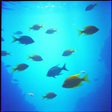 Cover utworu Morska Biesiada