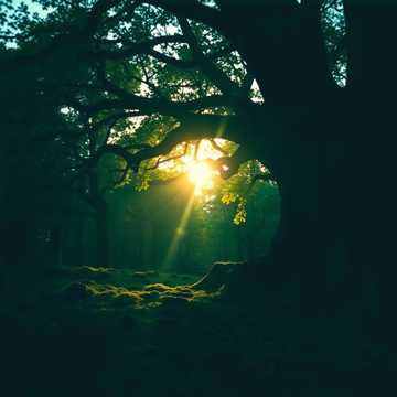 غلاف الاغنية ветер