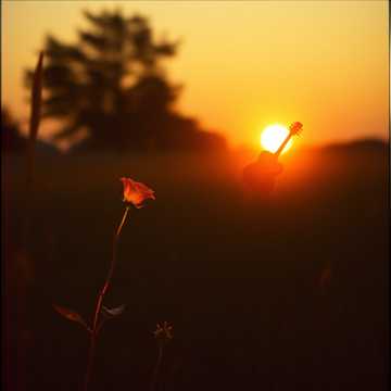 Cover av låten Scumpă și dragă mea fetiță