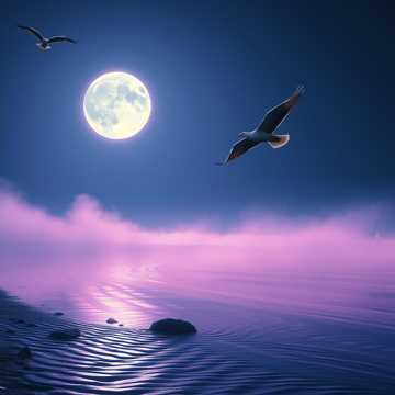 Bìa bài hát Ночь