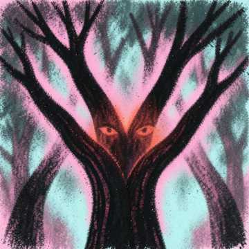 曲のカバー A Tecelã das Copas