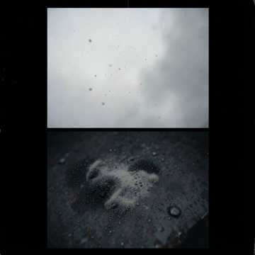 歌曲的封面Dust in Orbit