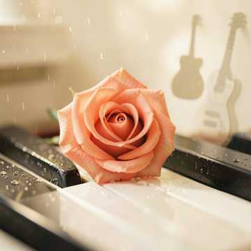 Cover van het nummer Rosa Corallo