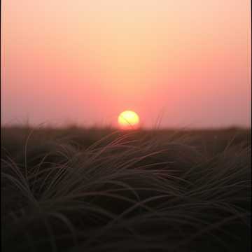 Cover des Liedes Hạ Hài Cốt Ba
