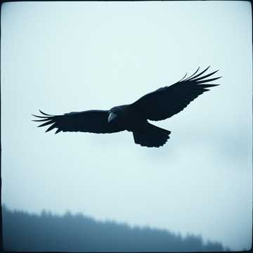 曲のカバー Ravens Cry