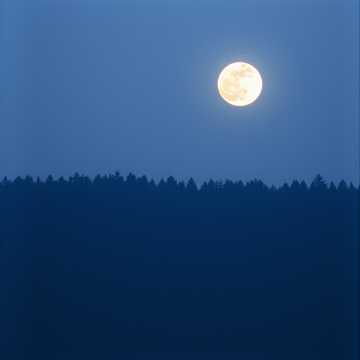 Bìa bài hát The Moon Weeps Softly