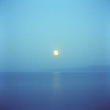 Couverture de la chanson محتاجلك يا رب