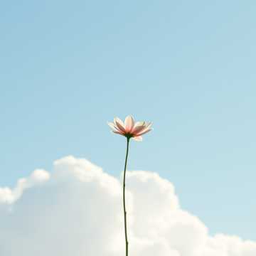 노래 표지 Gdzie marzysz