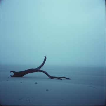 Cover of the song Vanishing Footprints