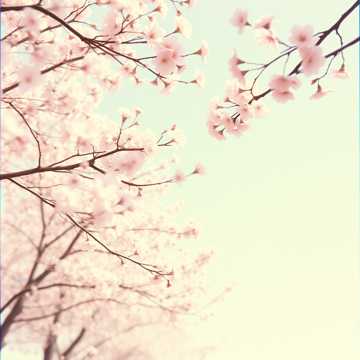 Bìa bài hát Whispers of the Wind