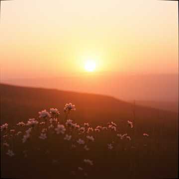 歌曲的封面Twelve Years of Light