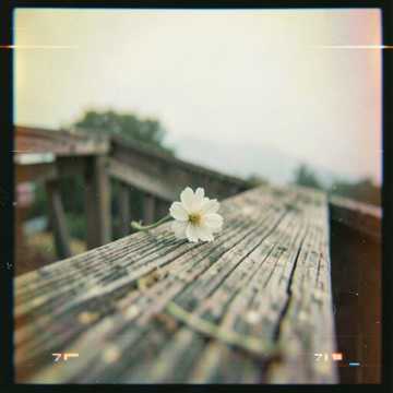 Cover av låten Huế nhớ em