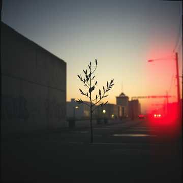 คัฟเวอร์เพลง بو رصاص